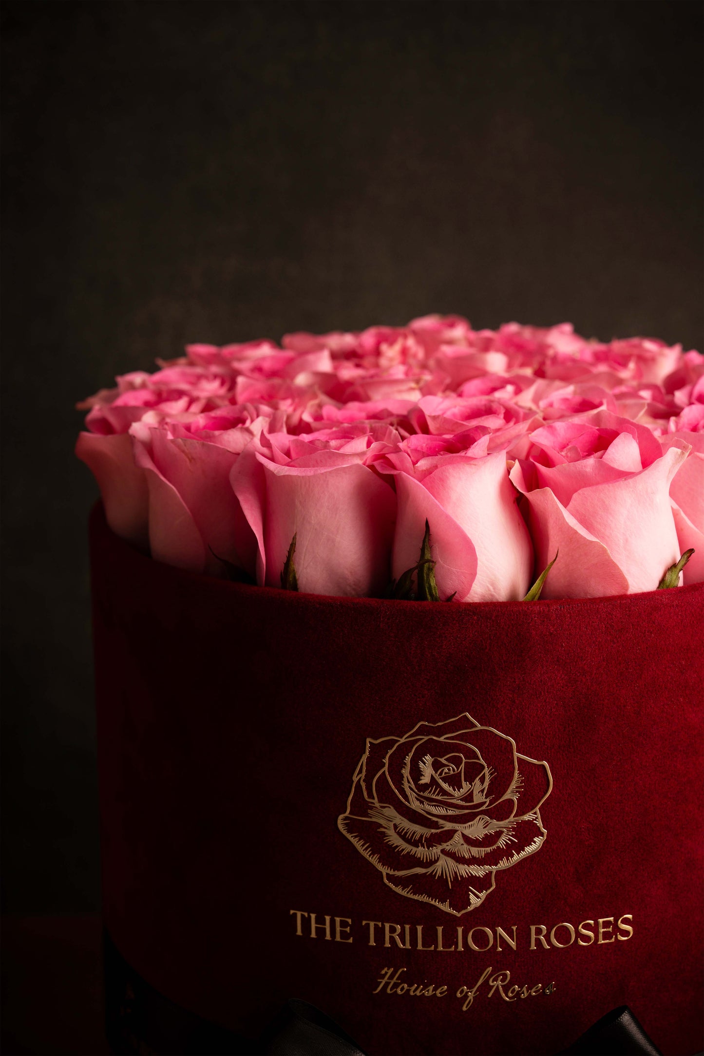 SNOW WHITE ROSES IN PINK ROUND BOX.