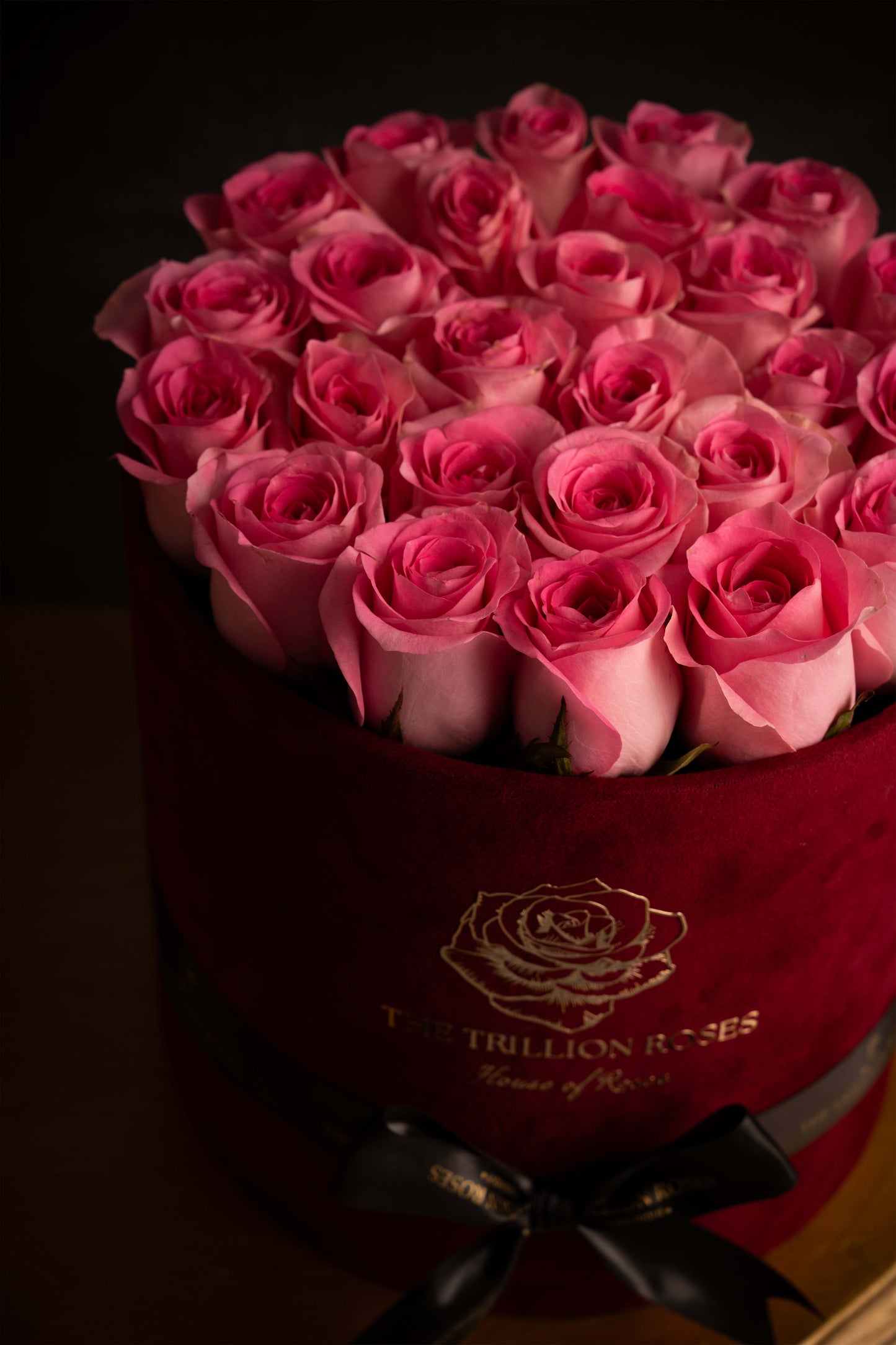 SNOW WHITE ROSES IN PINK ROUND BOX.