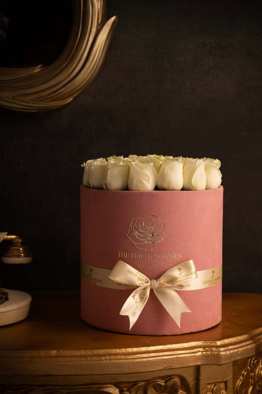 SNOW WHITE ROSES IN PINK ROUND BOX.