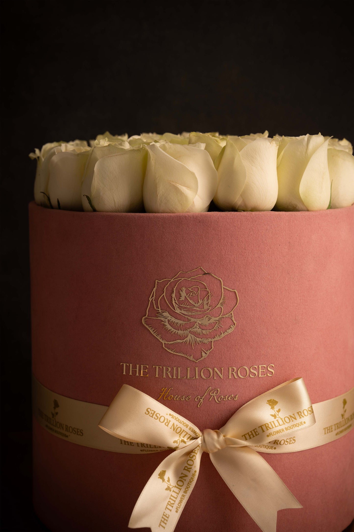 SNOW WHITE ROSES IN PINK ROUND BOX.