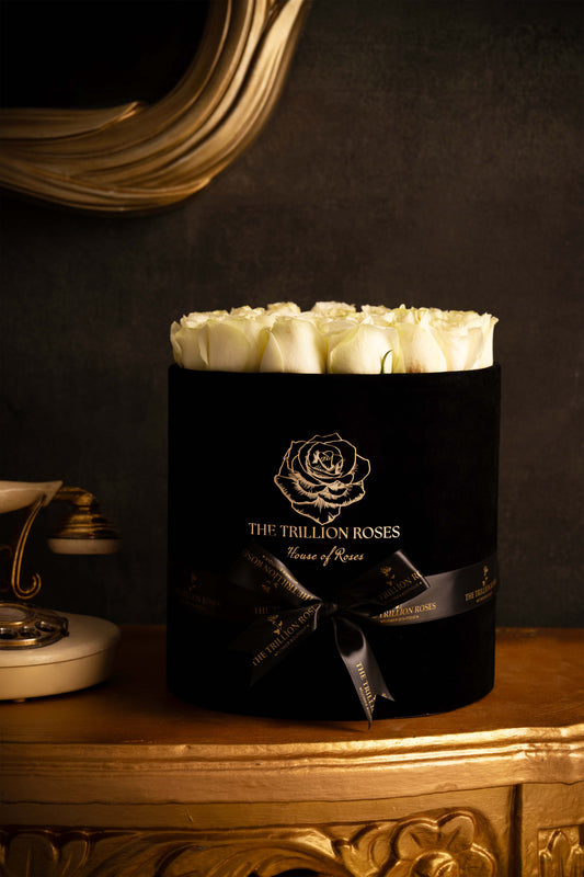 SNOW WHITE ROSES IN BLACK ROUND BOX