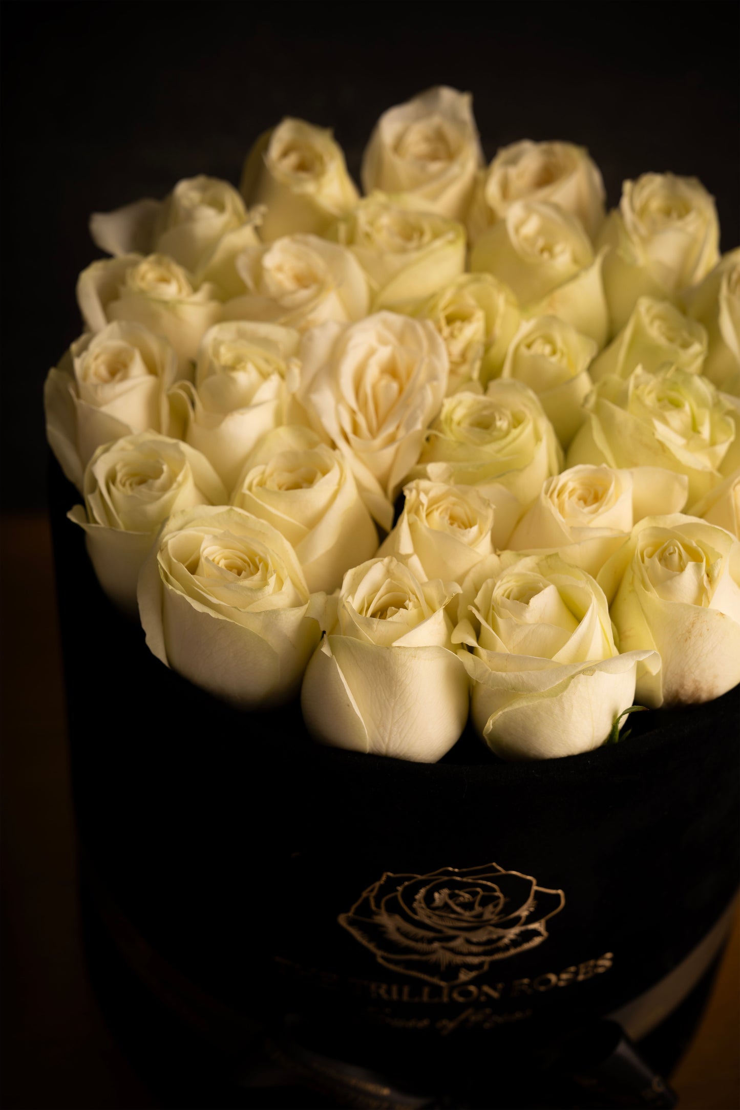 SNOW WHITE ROSES IN BLACK ROUND BOX