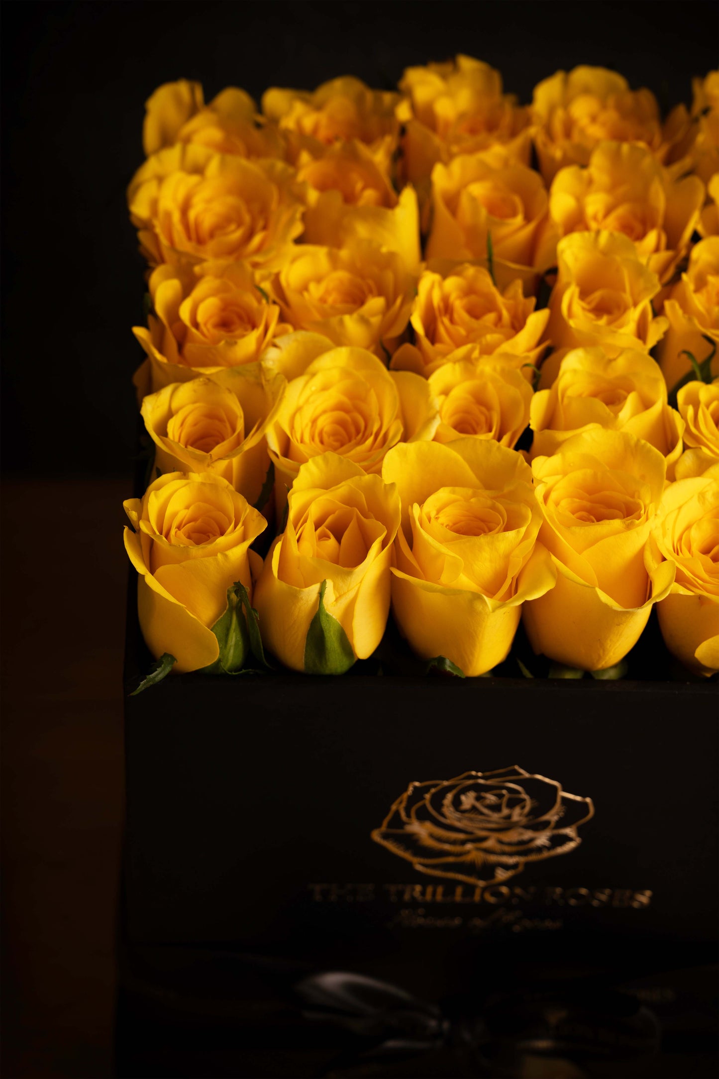 YELLOW SUNSHINE ROSES -  IN BLACK SQUARE BOX.