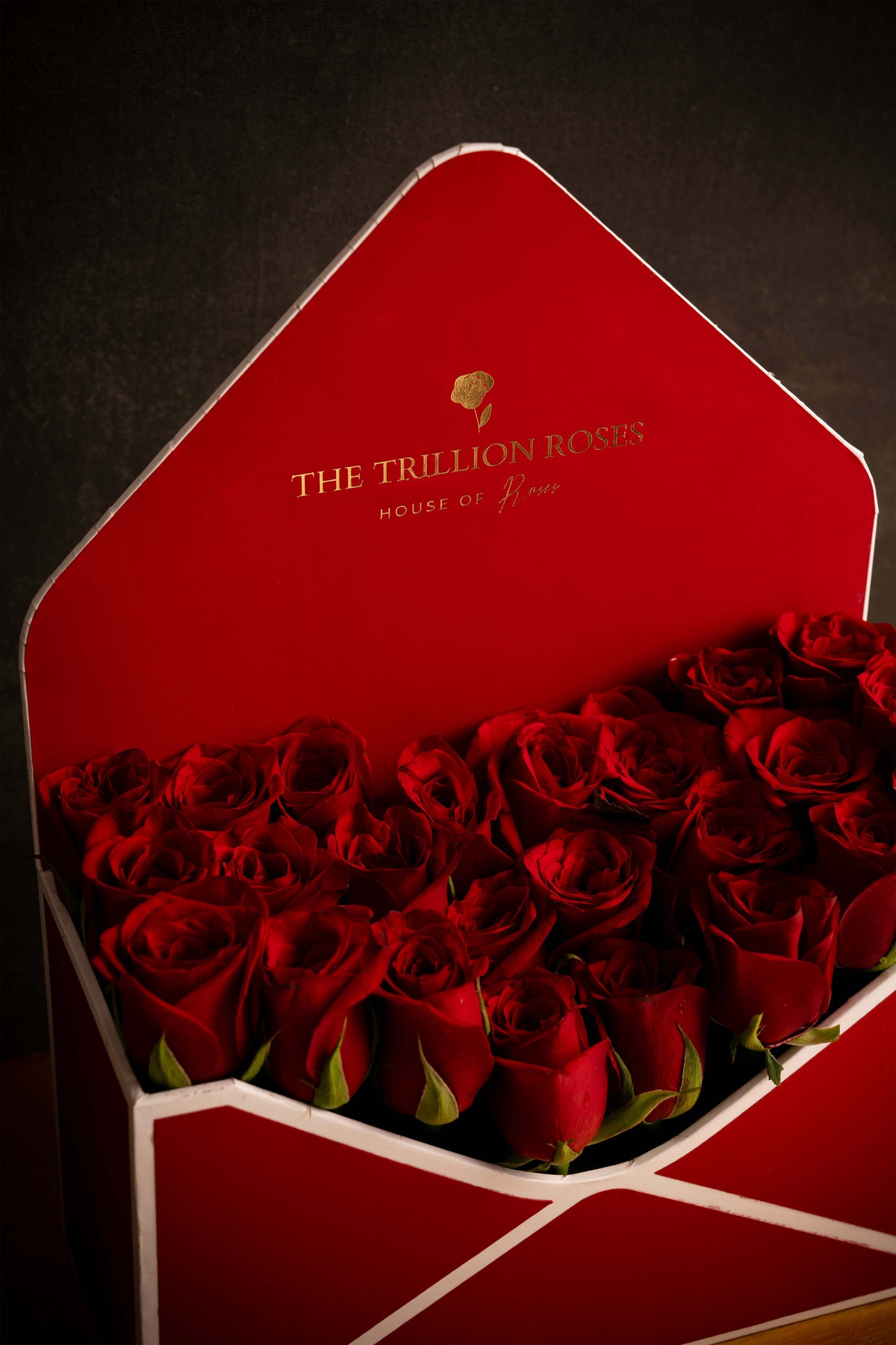 THE ROSE ENVELOPE - RED ROSES