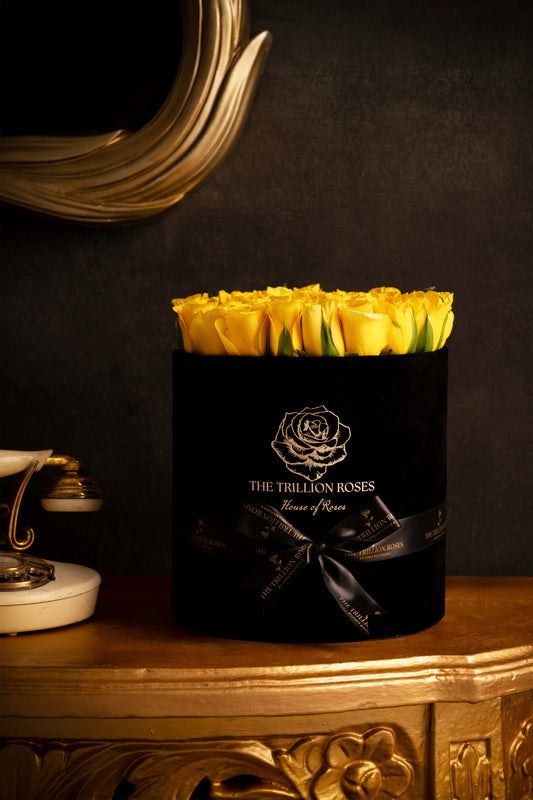 YELLOW SUNSHINE - YELLOW ROSES IN BLACK ROUND BOX.