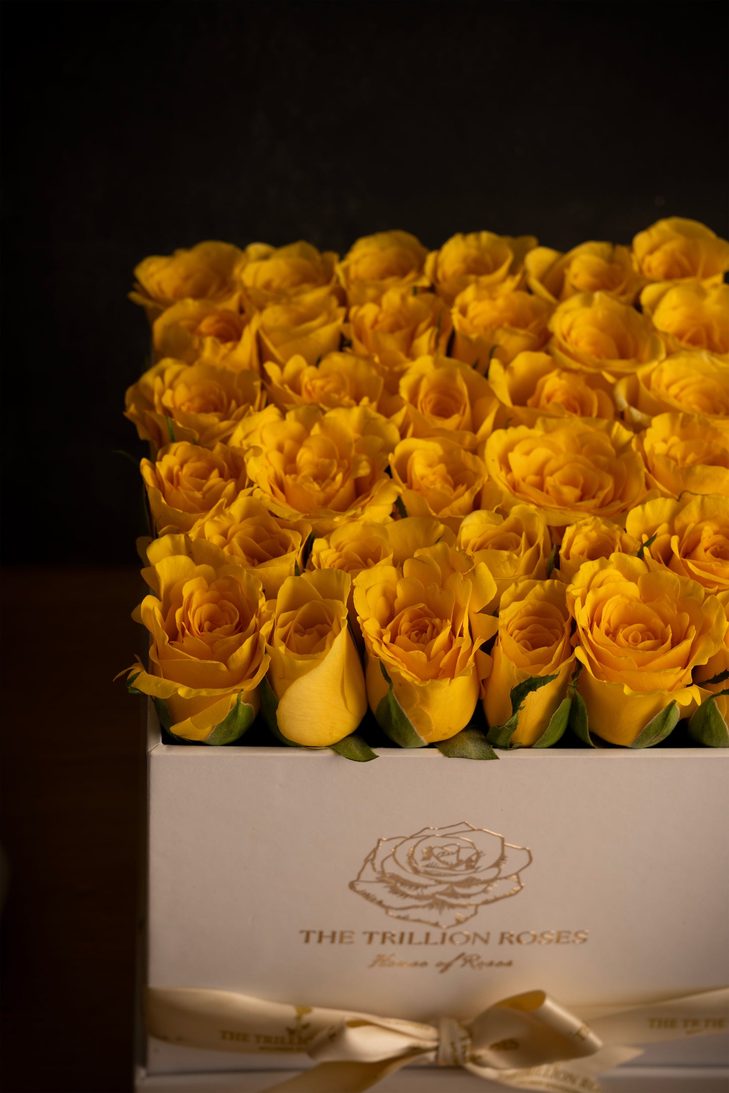 YELLOW SUNSHINE ROSES -  IN BLACK SQUARE BOX.